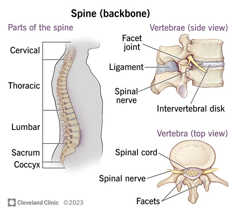 spinal infection treatment in Mumbai