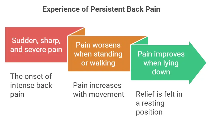 experience of persistent back pain